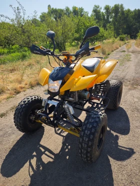     Bashan BS BS200