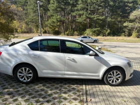 Skoda Octavia | Mobile.bg    6