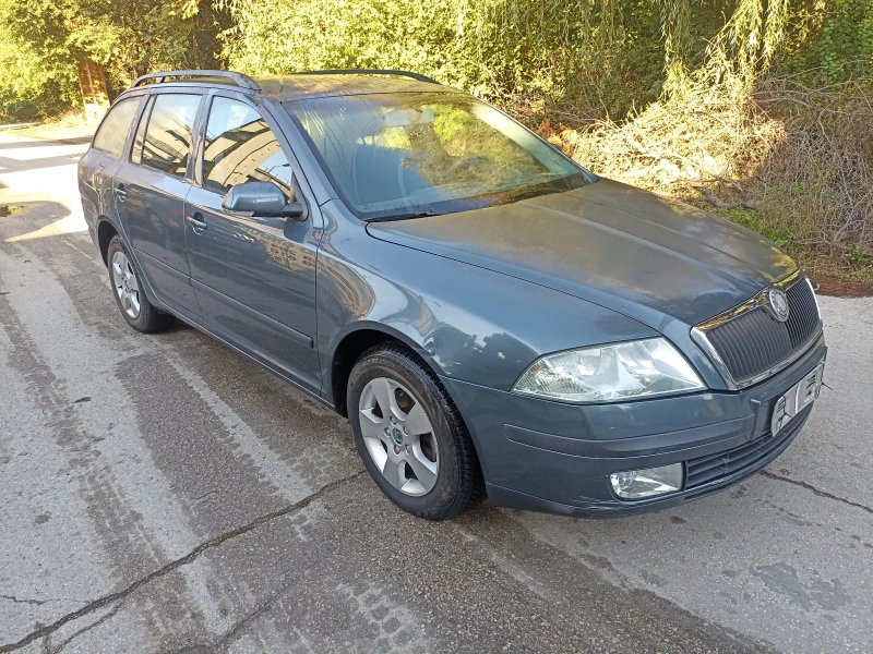 Skoda Octavia 2.0TDI, 1,9TDI, снимка 2 - Автомобили и джипове - 38179345