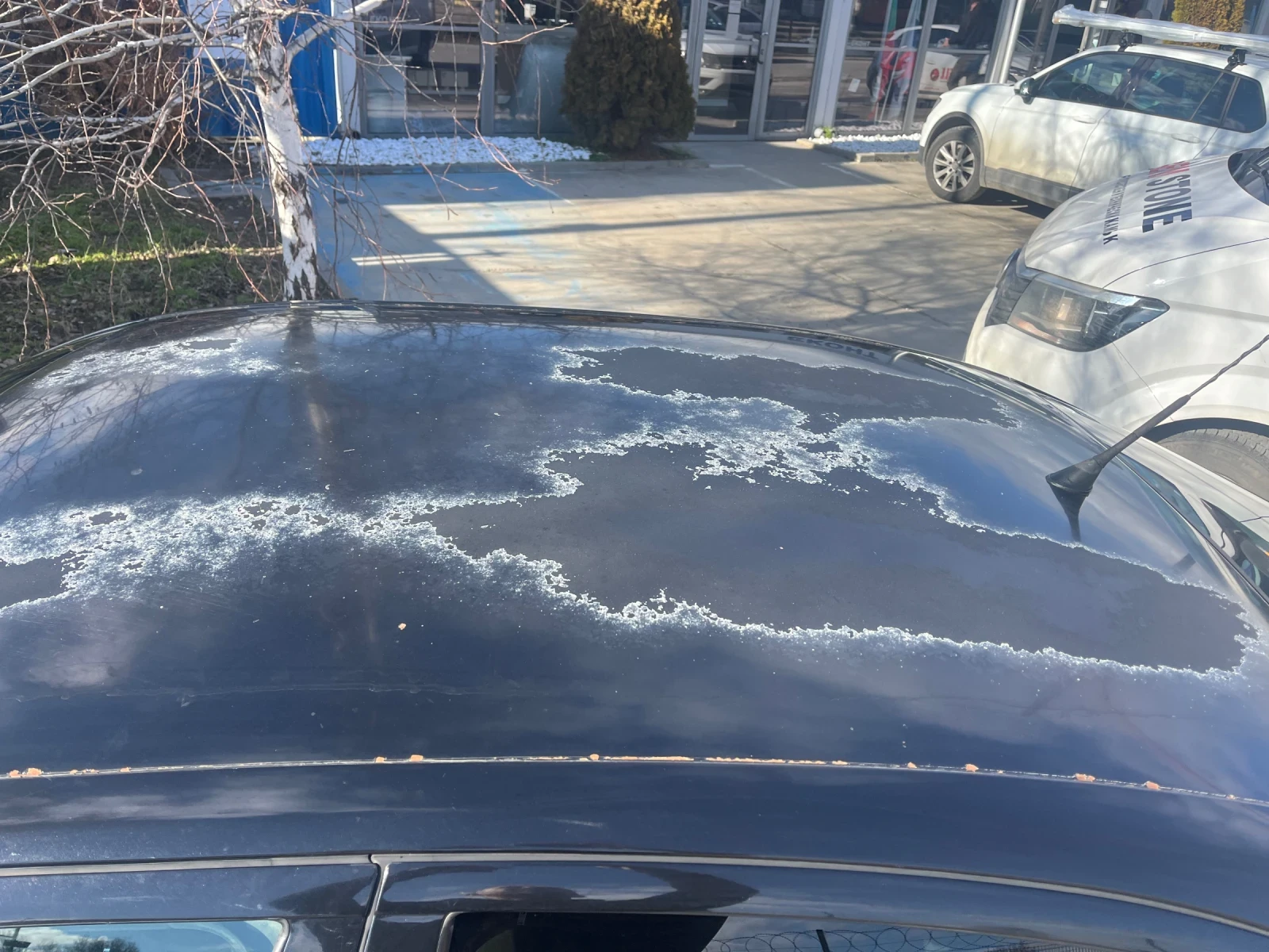 Skoda Octavia 2.0 | Mobile.bg � ����������� 11