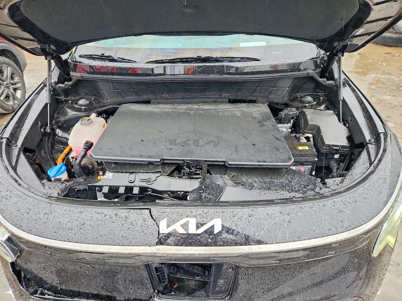Kia Niro EV Wave, снимка 11 - Автомобили и джипове - 54496162