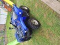 Yamaha Grizzly Grizzly 700 - изображение 6