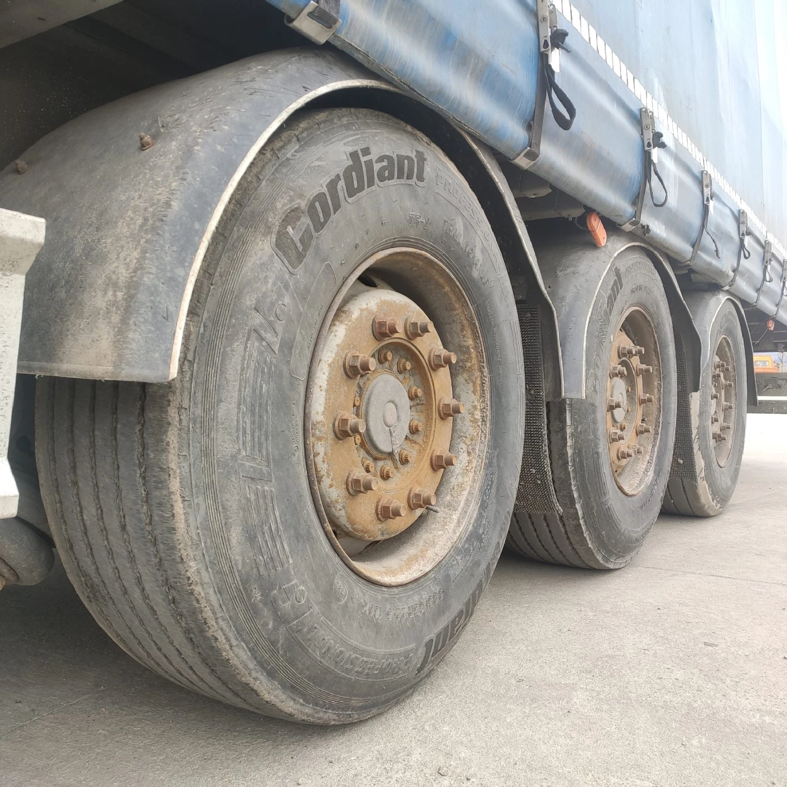  Fliegl | Mobile.bg   10