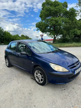  Peugeot 307