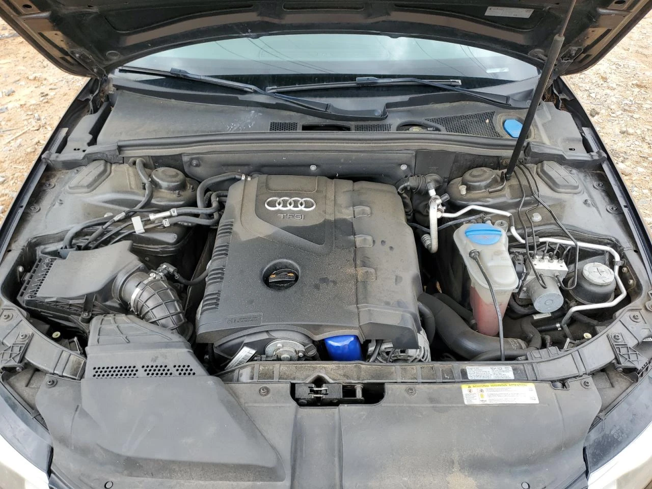 Audi A4 Premium Plus /  /   / Xenon /  | Mobile.bg   12