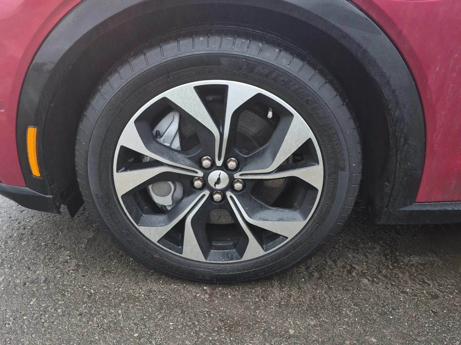 Ford Mustang Mach-E PREMIUM, снимка 6 - Автомобили и джипове - 53761103