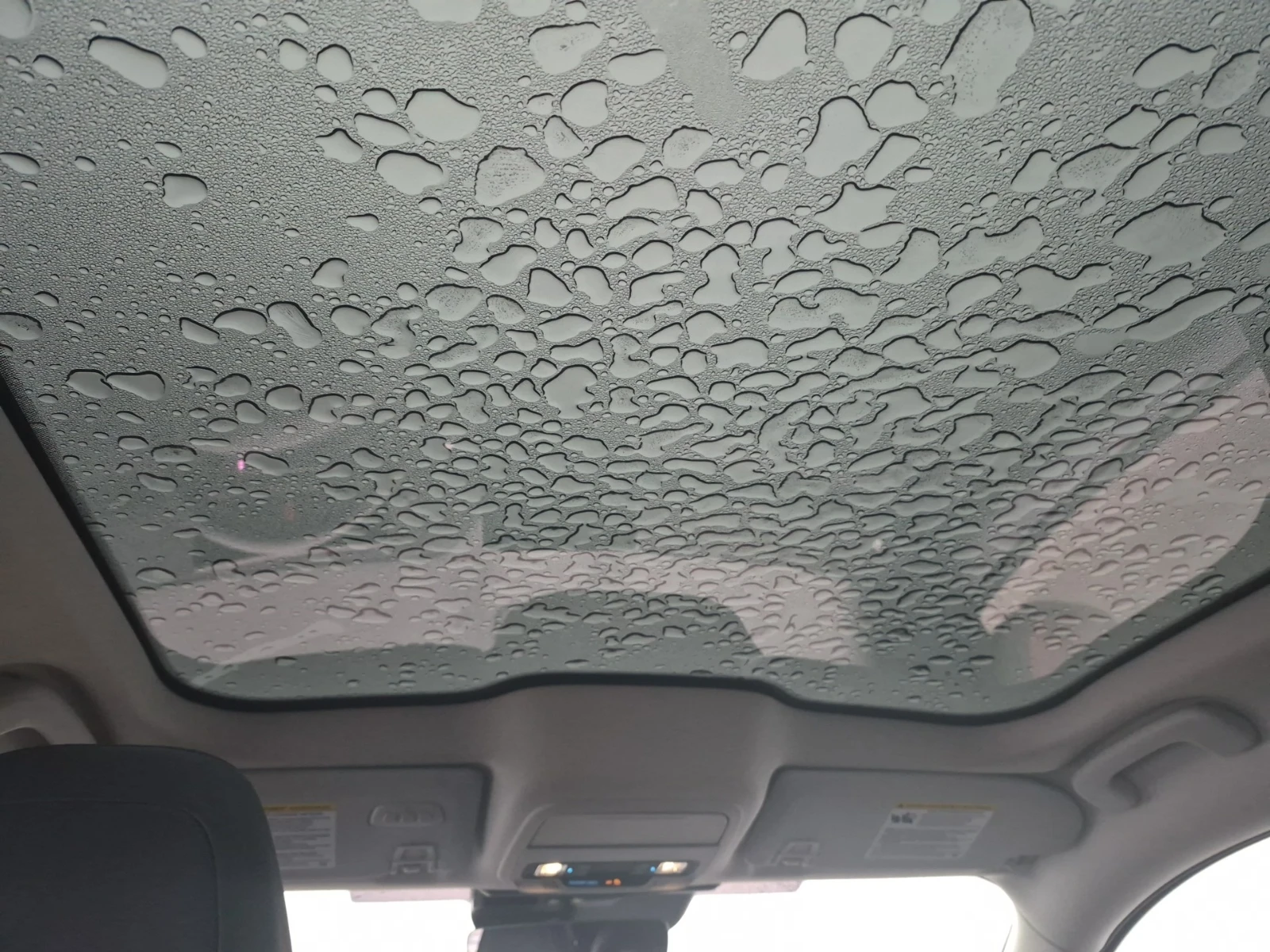 Ford Mustang Mach-E PREMIUM, снимка 13 - Автомобили и джипове - 53761103