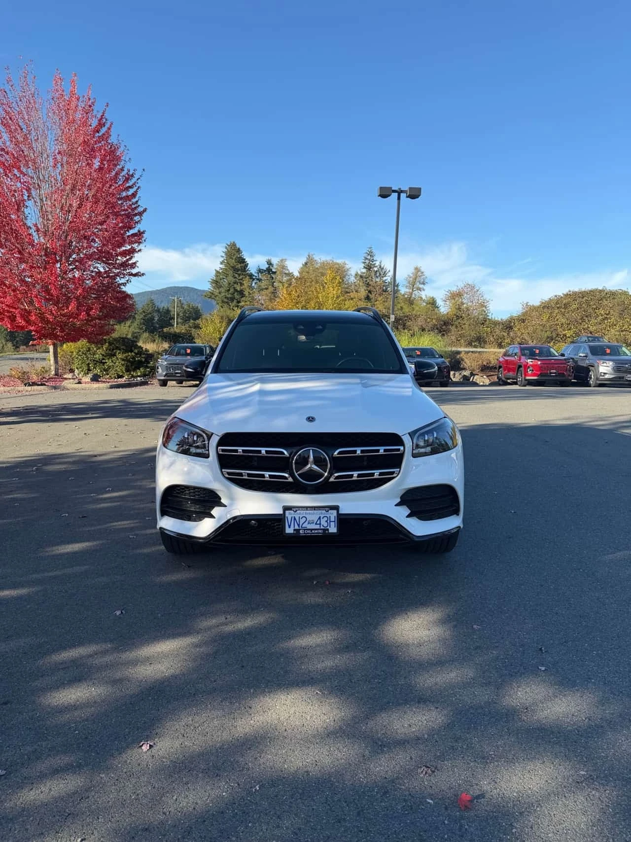 Mercedes-Benz GLS 450 4MATIC | CARFAX | ��������������� | Mobile.bg � ����������� 2