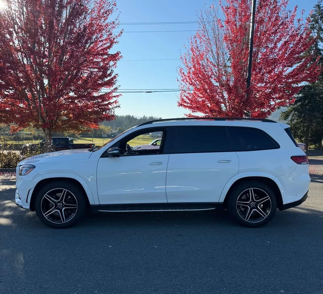 Mercedes-Benz GLS 450 4MATIC | CARFAX | ��������������� | Mobile.bg � ����������� 3