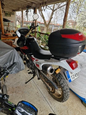 Honda Nx 650 dominator  | Auto.bg — изображение 2