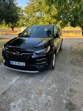 Opel Grandland X, снимка 9