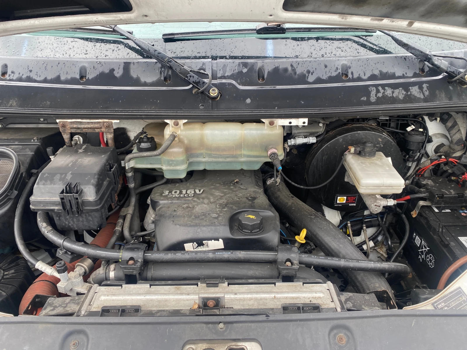 Iveco 35c15   | Mobile.bg   13