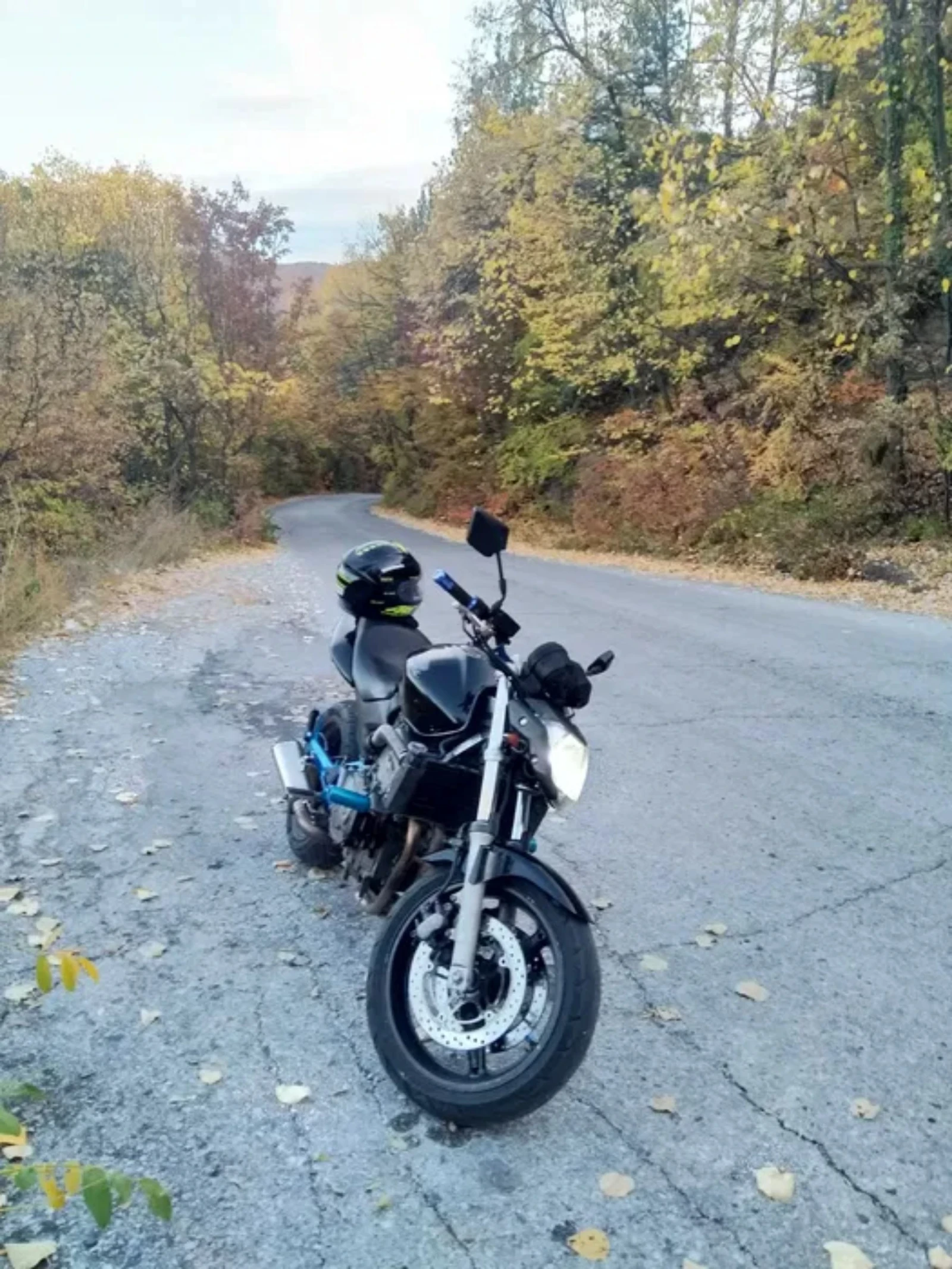 Honda Hornet 600 | Mobile.bg   1