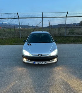 Peugeot 206 1100, снимка 1