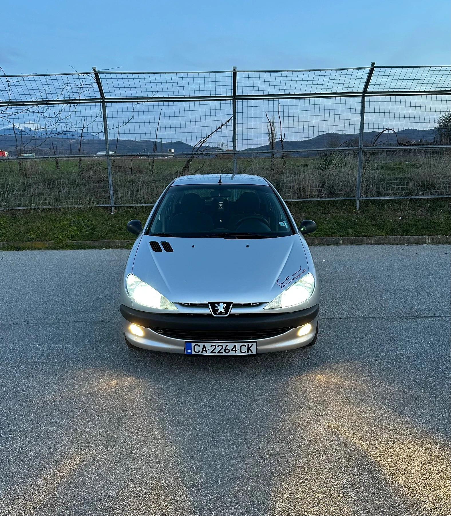 Peugeot 206 1100