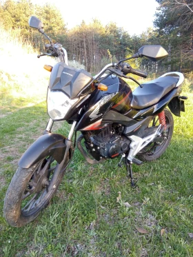 Honda Cbf 125