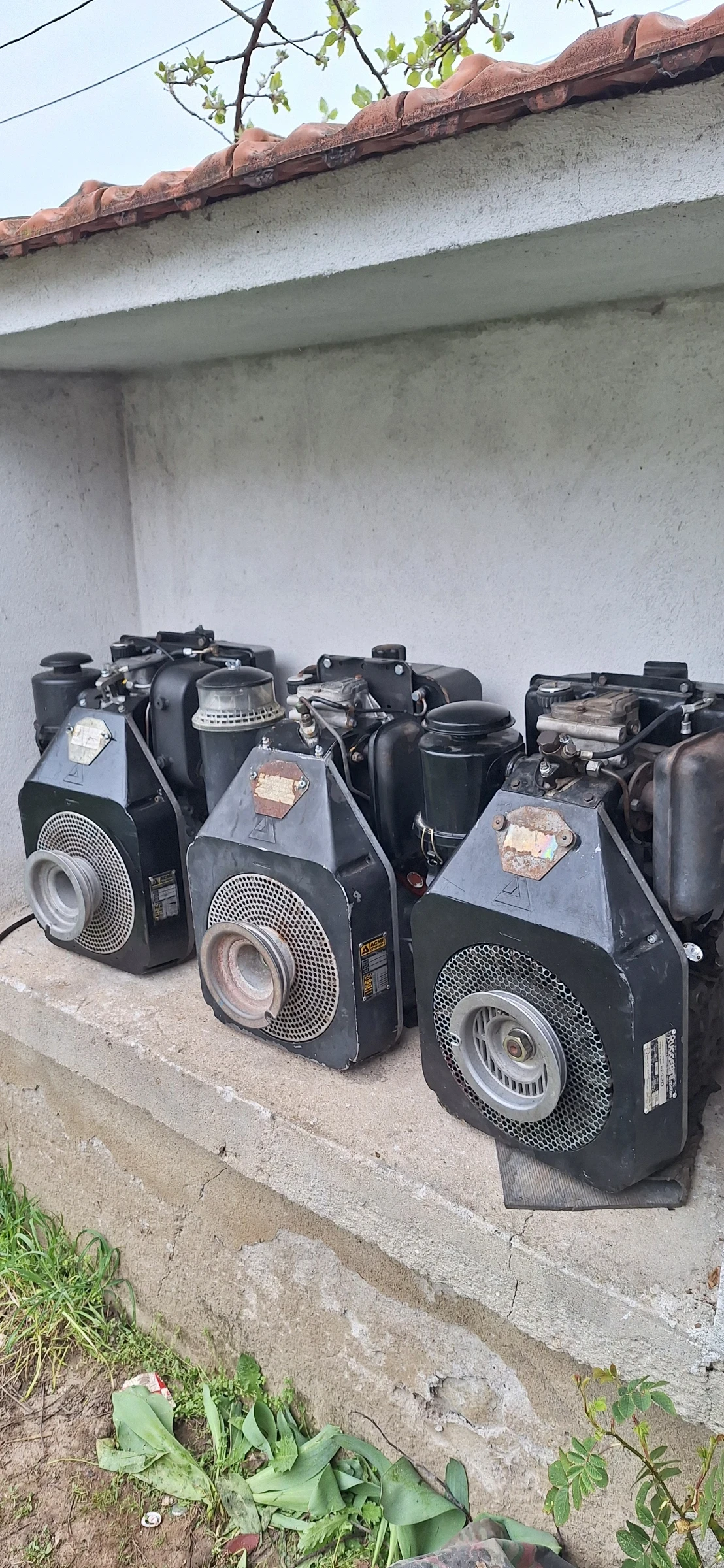 Сенокосачка BCS Acme Ruggerini Lombardini , снимка 2 - Селскостопанска техника - 53447607