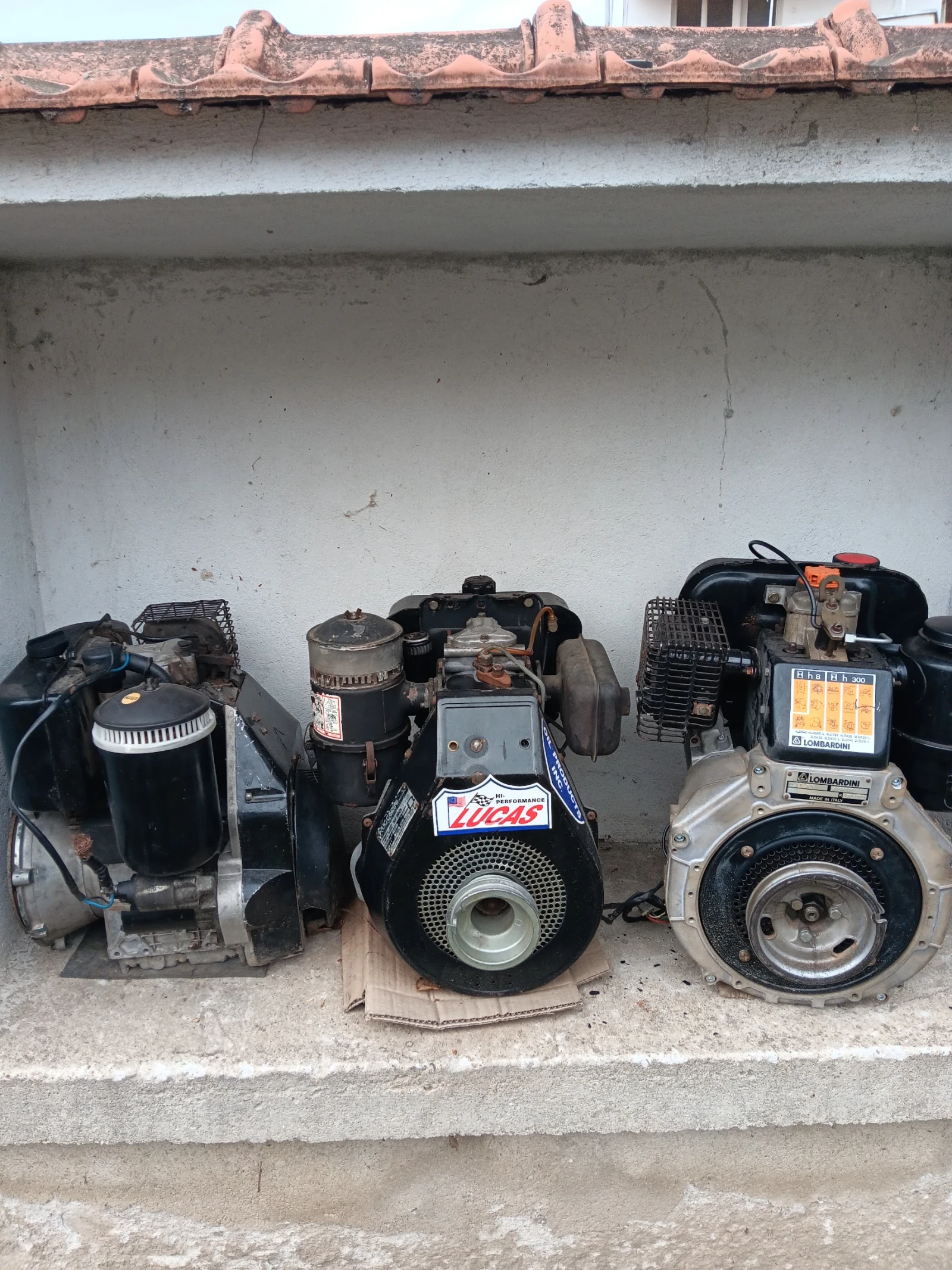 Сенокосачка BCS Acme Ruggerini Lombardini  - изображение 8