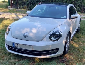  VW Beetle