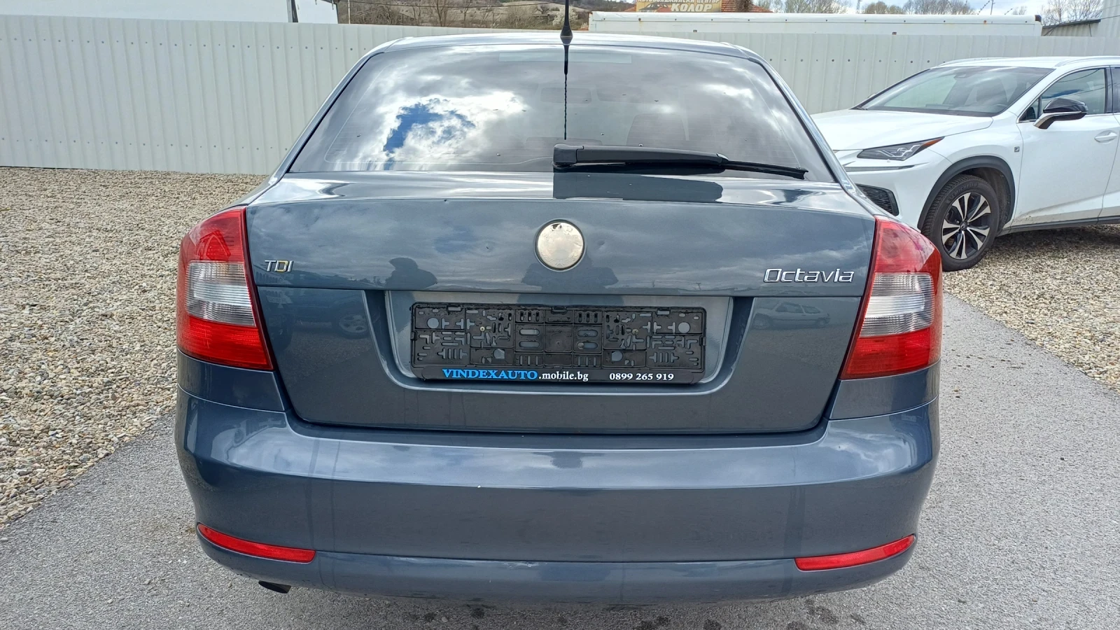 Skoda Octavia TDI , снимка 6 - Автомобили и джипове - 48199123