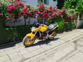 Honda Hornet, снимка 1