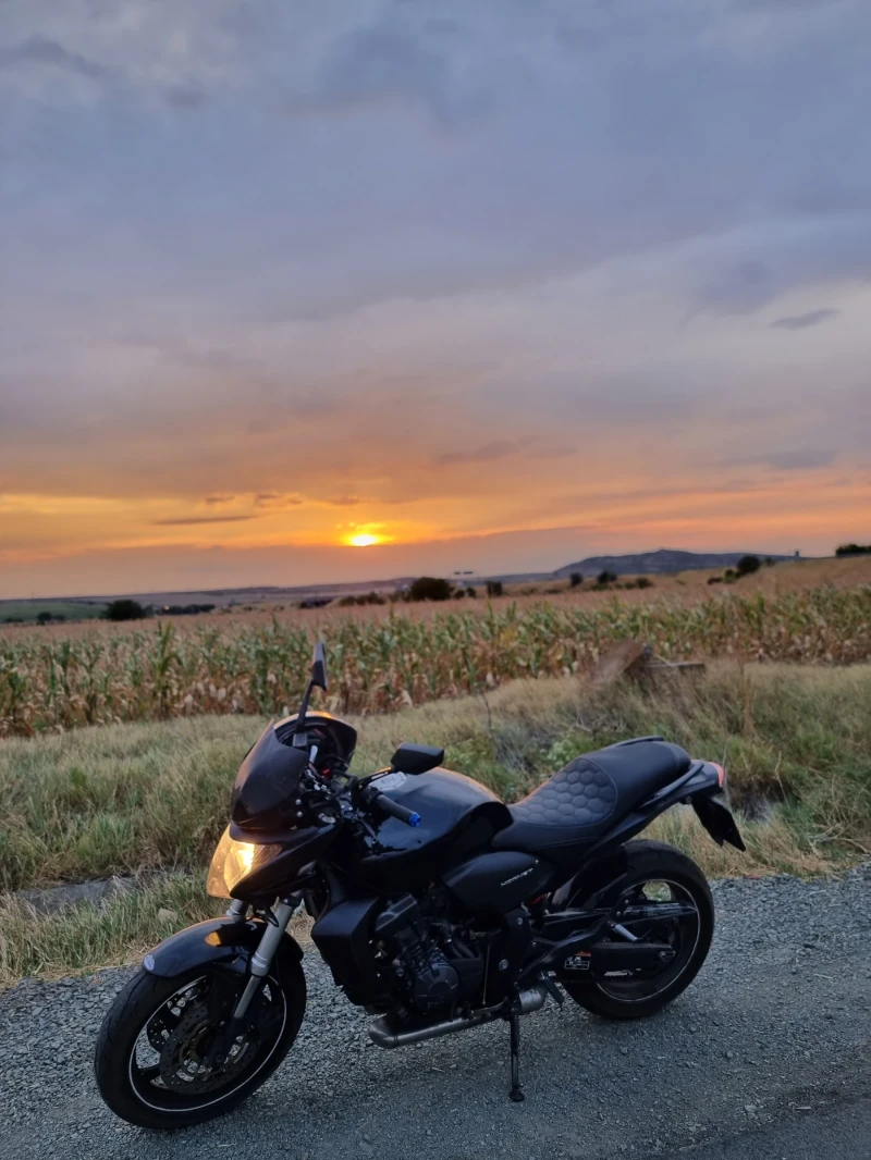 Honda Hornet 600 2010, снимка 7 - Мотоциклети и мототехника - 52805088