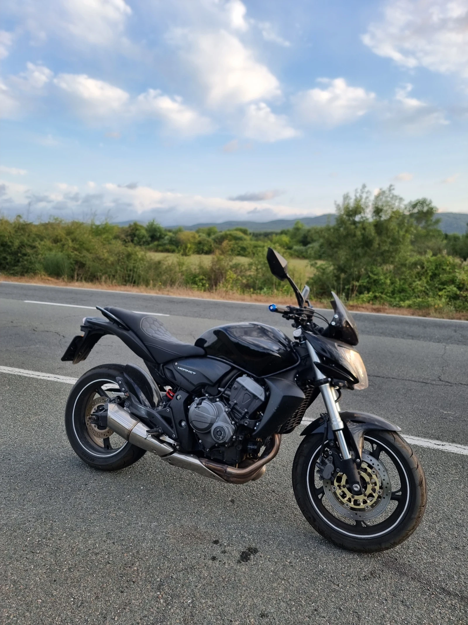 Honda Hornet 600 2010 - изображение 2