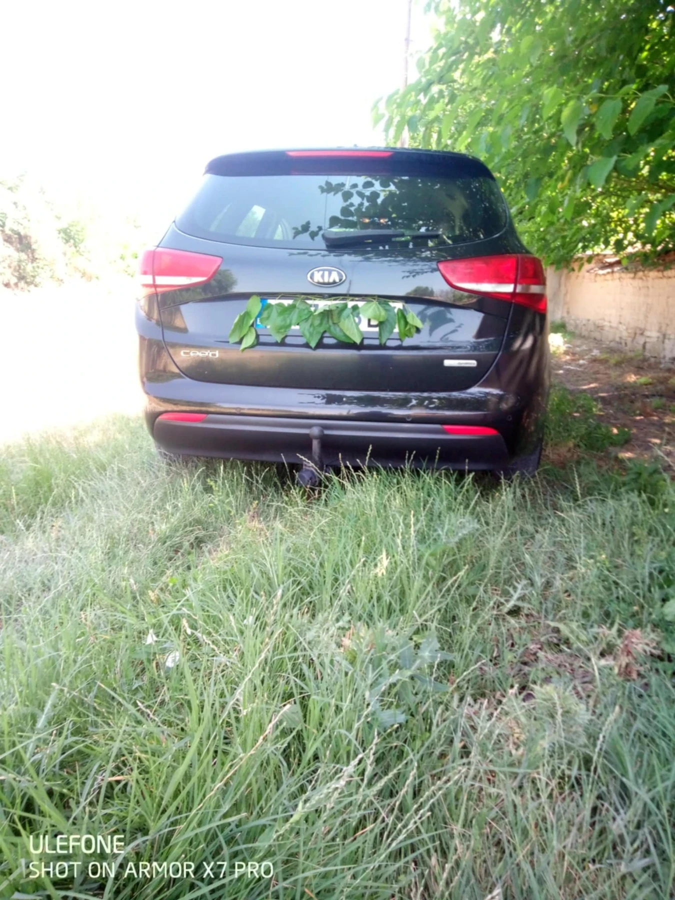 Kia Ceed  - изображение 7