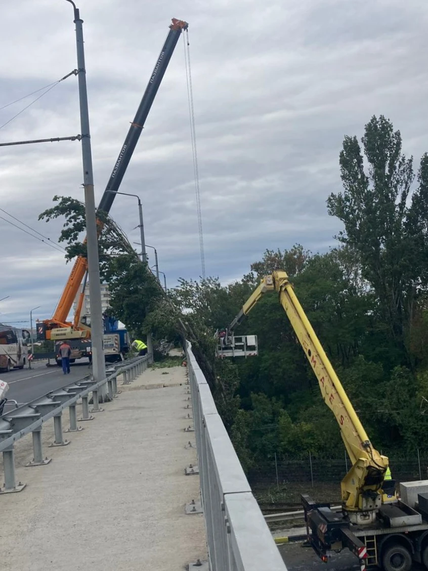 �������� GROVE GMK 3055 | Mobile.bg � ����������� 5