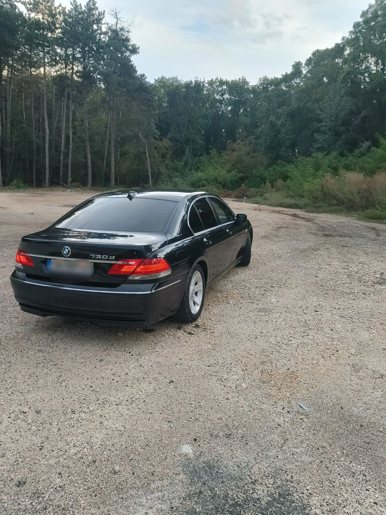 BMW 730, снимка 14 - Автомобили и джипове - 56148747