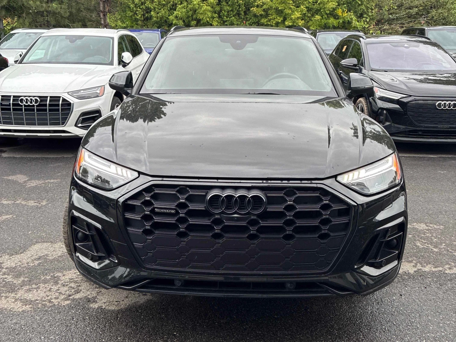 Audi Q5  TECHNIK / DISTRONIC / 360 / PANORAMA , снимка 6 - Автомобили и джипове - 56071517