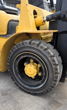 ����� �� �������� �� ������� Cat