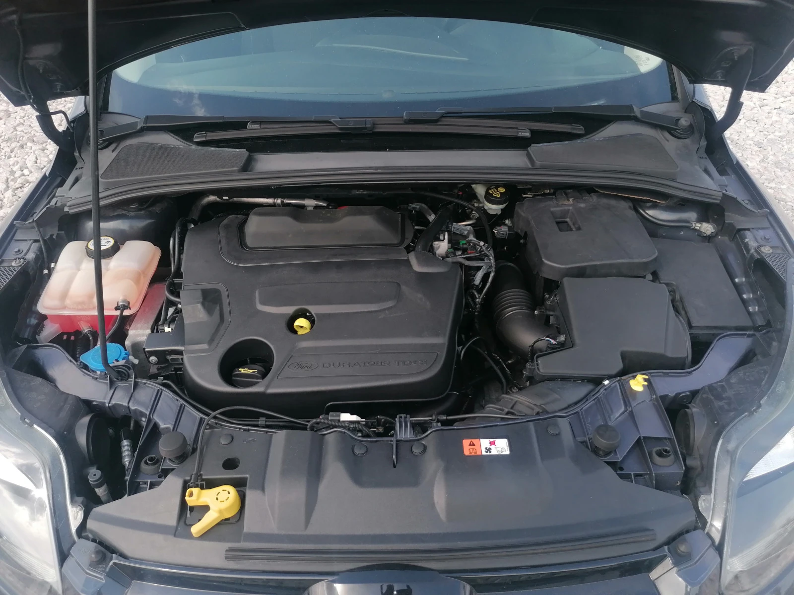 Ford Focus | Mobile.bg   16