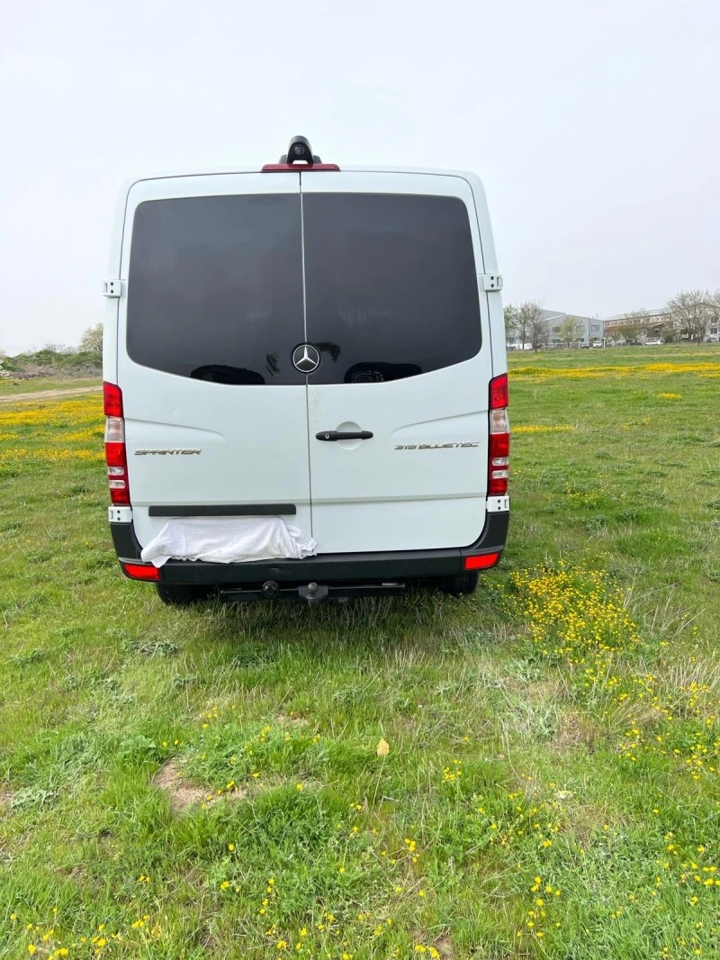 Mercedes-Benz Sprinter 319, снимка 6 - Бусове и автобуси - 47271466