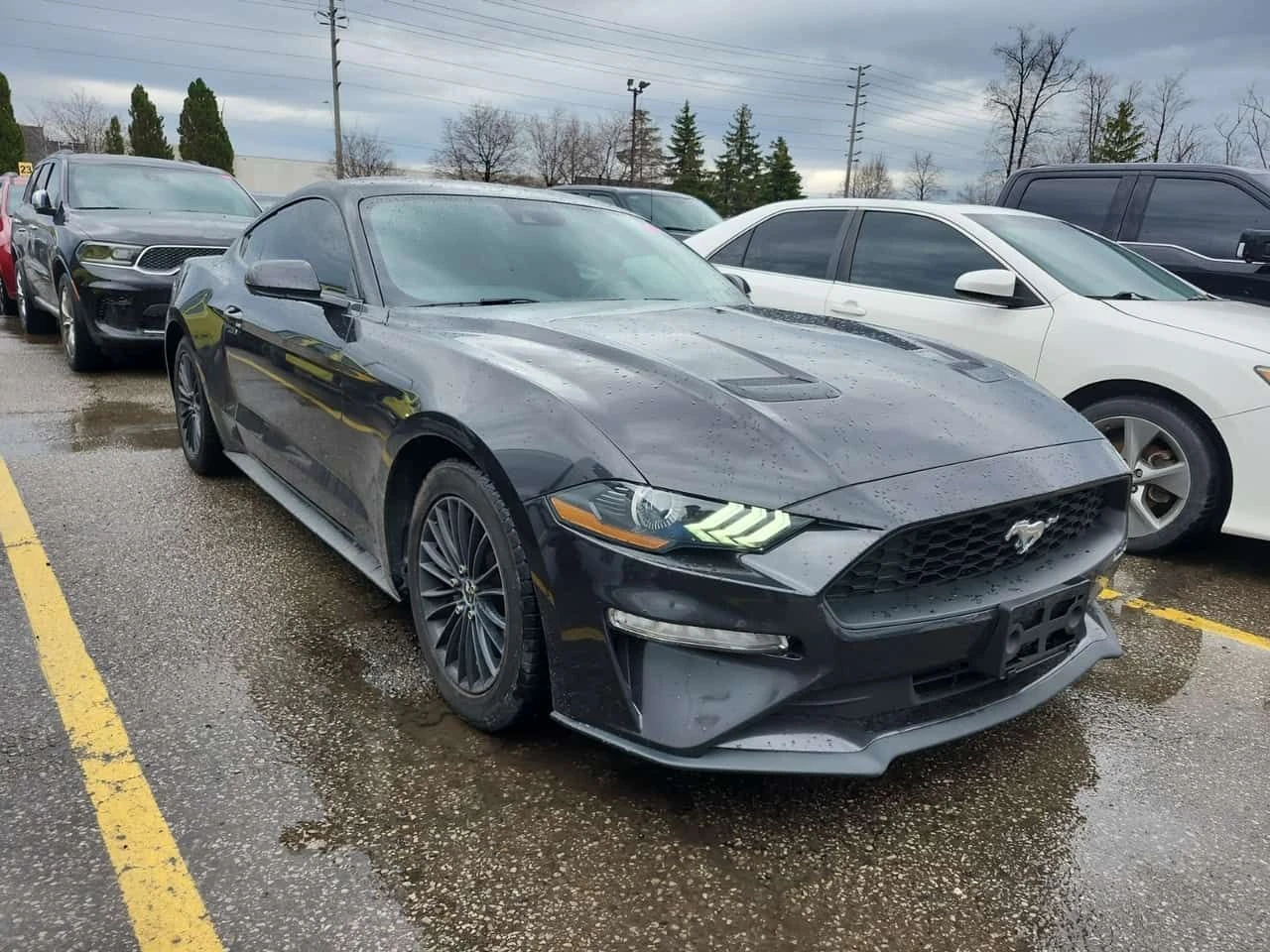 Ford Mustang * ECOBOOST * CARFAX * 1 СОБСТВЕНИК * , снимка 2 - Автомобили и джипове - 54264040