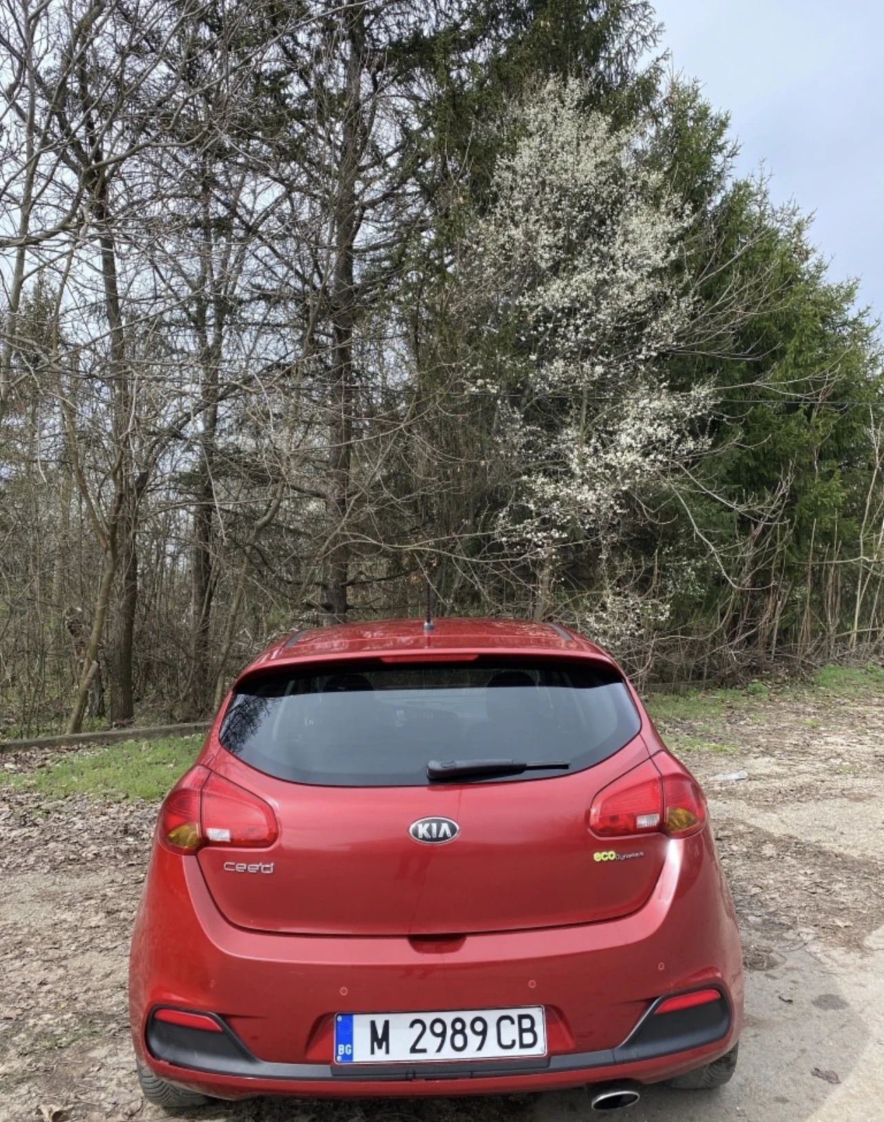 Kia Ceed 1.6CRDi 6ск - изображение 5