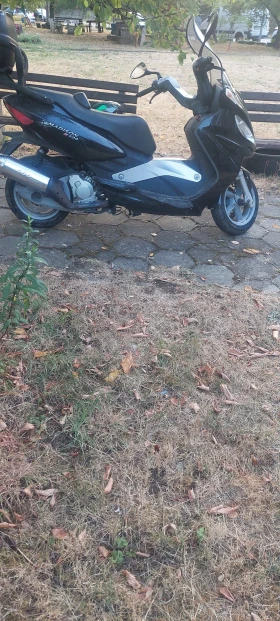 Malaguti Madison, снимка 2 - Мотоциклети и мототехника - 53697383