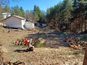 Друг вид Внос F.B.C CIP 10.13H, снимка 11