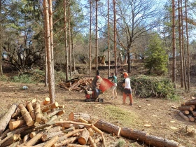 Друг вид Внос F.B.C CIP 10.13H, снимка 9