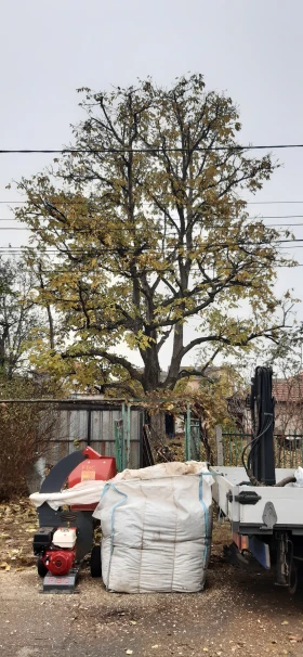 Друг вид Внос F.B.C CIP 10.13H, снимка 3