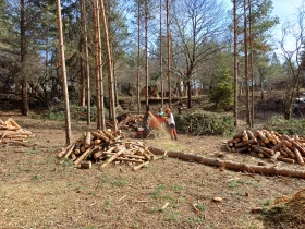 Друг вид Внос F.B.C CIP 10.13H, снимка 8 - Селскостопанска техника - 53684591