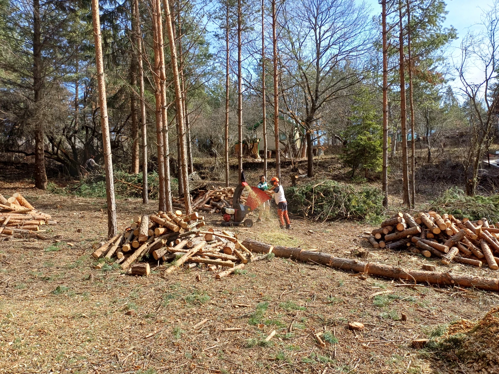 Друг вид Внос F.B.C CIP 10.13H - изображение 8