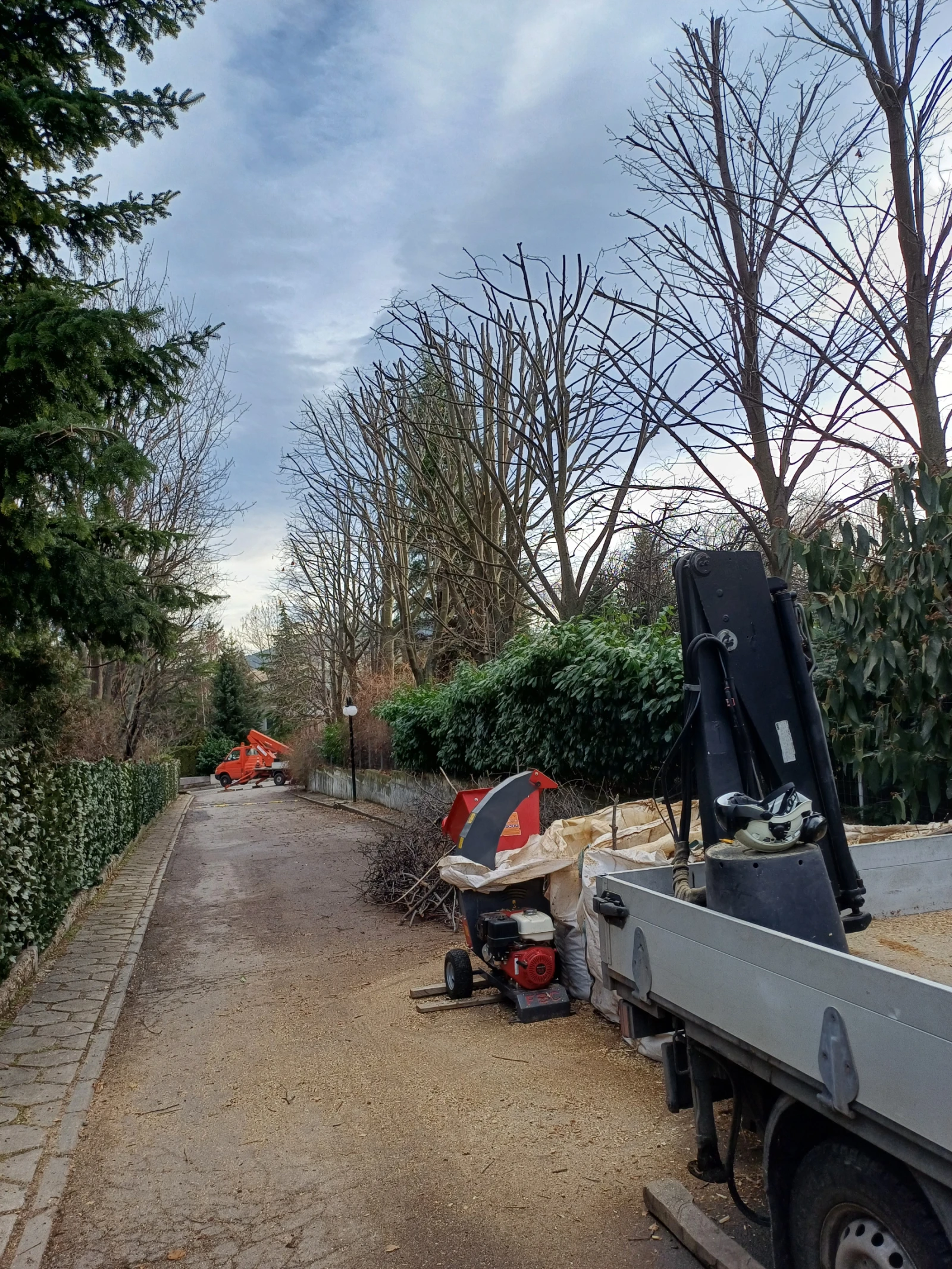 Друг вид Внос F.B.C CIP 10.13H - изображение 4