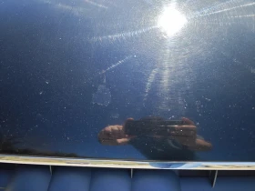 Audi A4, снимка 9