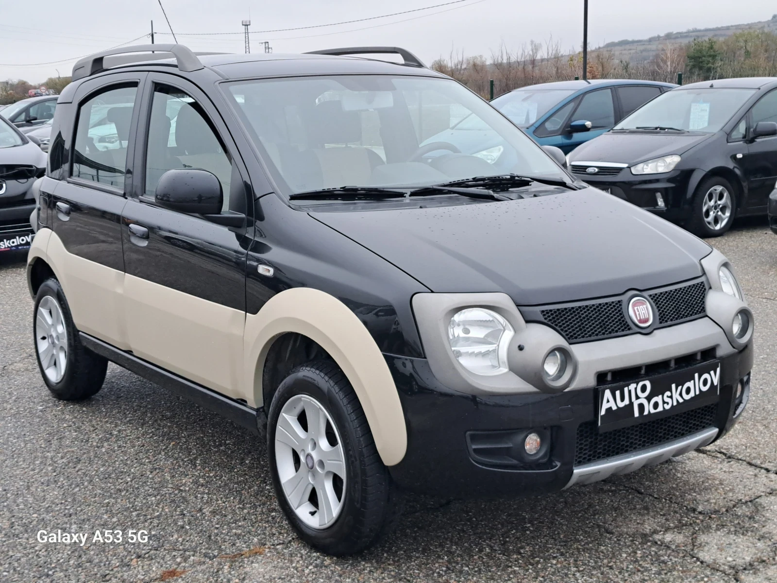 Fiat Panda 1, 3 mjet CROSS 4x4 - изображение 3