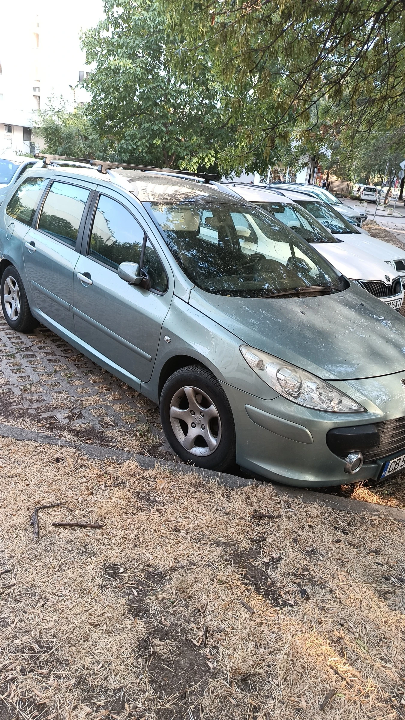 Peugeot 307, снимка 3 - Автомобили и джипове - 56105010