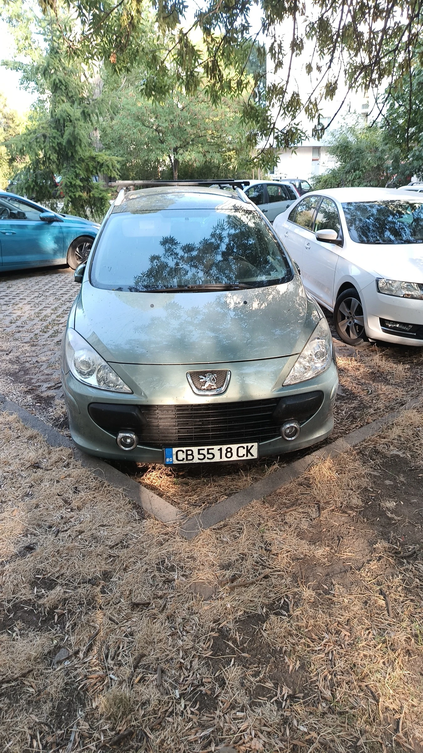 Peugeot 307