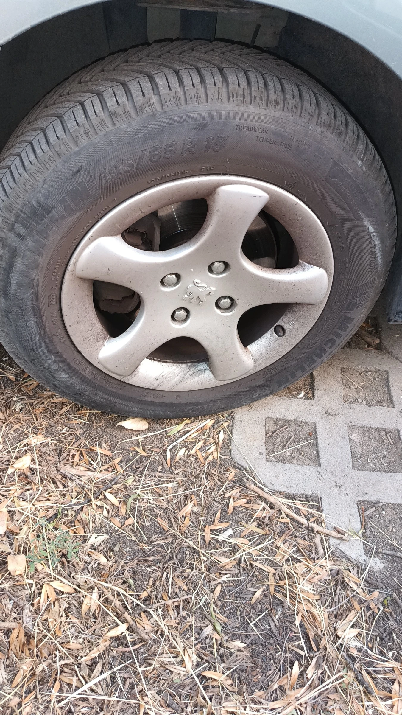 Peugeot 307, снимка 6 - Автомобили и джипове - 56105010