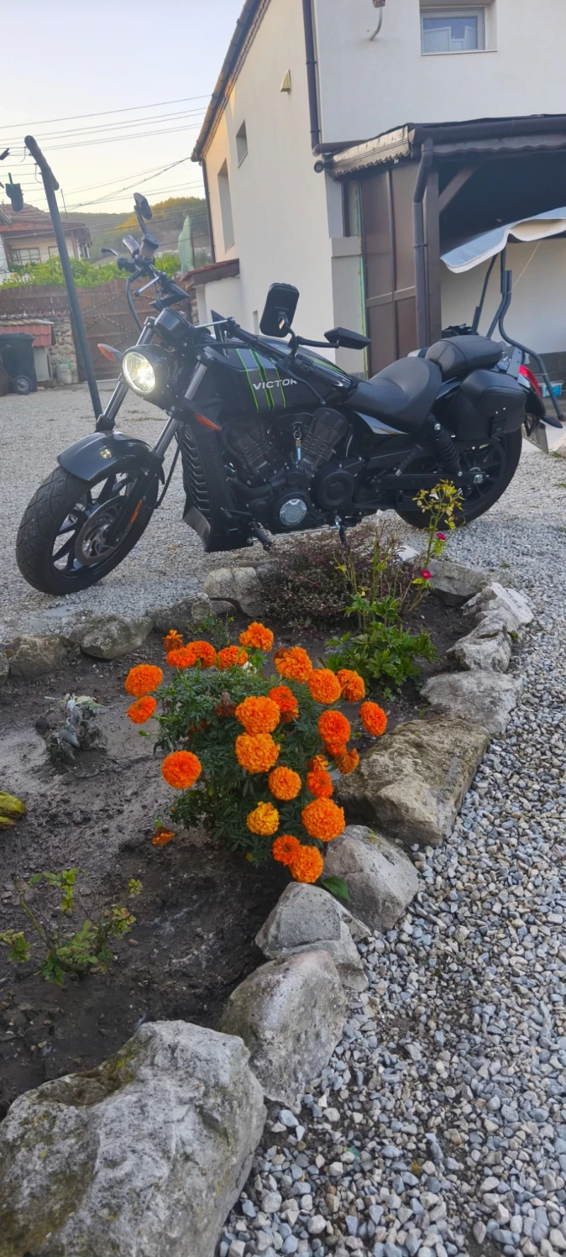 Victory Octane Чопър , снимка 3 - Мотоциклети и мототехника - 51969333