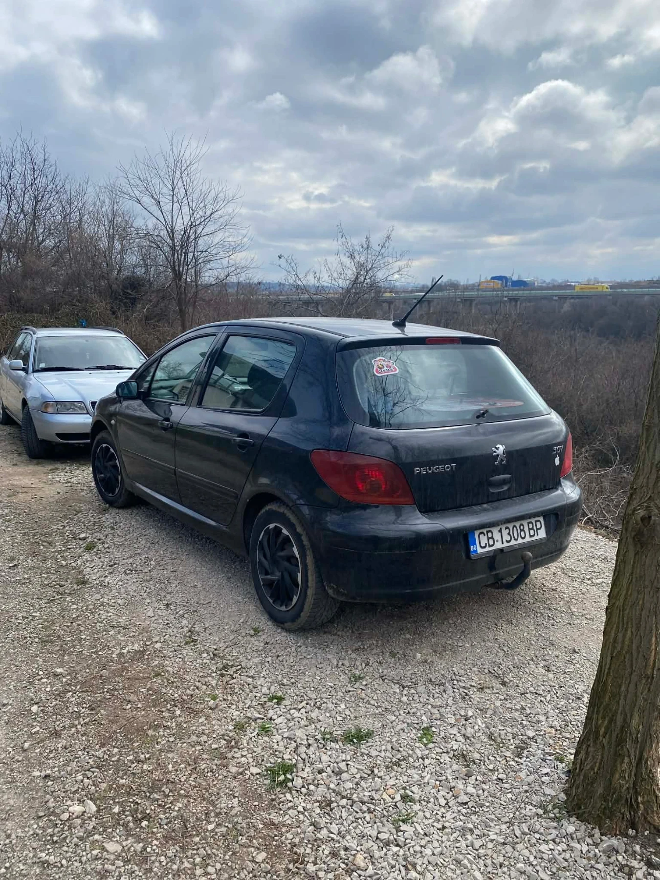 Peugeot 307, снимка 3 - Автомобили и джипове - 54035230